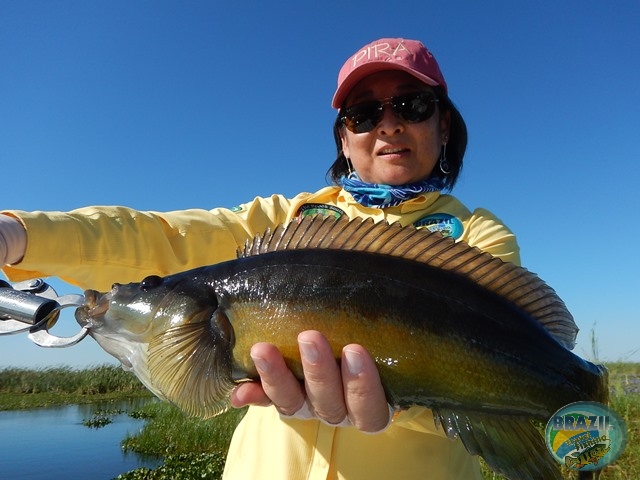 PIRA LODGE - Pantanal Argentino - Temporada 2.016